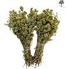AgoraMarket Mazzo Intero di Origano di Montagna Greco | Raccolto 2026 Origanum VULGARE