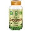 Natural Earth Glucosamina vegana - 100g