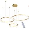 WayLuoung LED Lampadario Metallo | 3 Cerchi 20+40+60cm | 45W Lampada Sospensione Soffitto Anelli, Telecomando Dimmerabile 3000-6000K, Lampada Sospensione Paralume Acrilico Soggiorno Camera Letto【Oro】