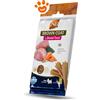 Farmina Dog Snack Dental Treat N&D Brown Coat Agnello Mini - Confezione Da 60 Gr