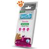 Farmina Dog Snack Dental Treat Vet Life Struvite Mini - Confezione Da 60 Gr