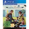 Eurovideo Medien GmbH The American Dream VR Standard - PlayStation 4 [Edizione: Germania]