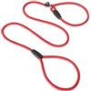 HDGSAFD Guinzaglio Rosso per Cane 8 Pezzi - Museruola Collare con Cordone, Anti-Morso - Forniture per Animali Domestici