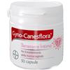 Bayer SpA Gyno Canesflora Probiotico con Vitamina B2 Per Benessere Intimo Capsule 13,8 g