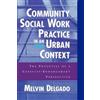 Melvin Delgado Community Social Work Practice in an Urban Context (Tascabile)