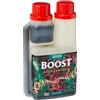 CANNA - Boost, Stimolatore di fioritura, 250 ml