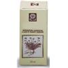 ECOL Sas GINKGO BILOBA EANALCO 50ML