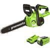 Greenworks G40CS30IIK2 Motosega a Batteria, Lunghezza Barra 12 Pollice (30cm), Velocità Catena 4,2m/s, 2,6kg, Auto-Lubrificante, Batteria 40V 2Ah e Caricabatterie, Garanzia 3 Anni