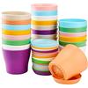 Tosnail 24 piccoli vasi per piante da 9,5 cm, in plastica colorata, per interni ed esterni, per ufficio, casa, scrivania, con vassoi per pallet, 8 colori