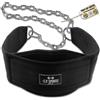 C.P. Sports C.P.Sports Premium Dip Belt | Professional Dip Belt - Cintura per dip fino a 250 kg per trazioni, squat, fitness, allenamento della forza, bodybuilding, palestra