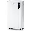 Pro Breeze Deumidificatore Casa Muffa 12L/giorno - Efficiente dal punto di vista energetico, modalità assciugatura, e indicatore di umidità, filtro dell'aria a carbone per muffa e umidità