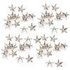 Tomotato 200Pezzi Rivetti a Stella, 10mm Chiodi a Forma di Artiglio a Stella, Borchie Punk in Metallo per Lavorazione della Pelle, Per Borse Fai da Te, Cappelli, Abbigliamento, Decorazione(Argento)