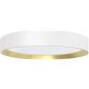 Philips Hanno, Plafoniera da soffitto, 24W, 2700lm, Luce Bianca Calda 2700K, 3 scene di luce SceneSwitch, Grado di protezione IP20, Bianca