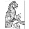 Pintcolor 7805.0 Telaio con Tela Stampata da Colorare, Legno di Abete; Cotone, Bianco/Nero, 40 x 50 x 3.5 cm , 100% Made in Italy