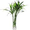 DRERIO Vaso Trasparente per Decorare Stanza, Moderni da Interno Design Rettangolare Vasi Unico per Decorazioni Casa per Arrangementi Floreali E Decorazione Domestica (30 x 10cm Vaso vetro)