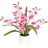 Flair Flower Orchidea artificiale Dendrobium, 38 cm, con foglie in vaso di fiori, orchidea artificiale, phalaenopsis come veri rami di orchidee, pianta artificiale, decorazione per matrimoni, fiori di seta, rosa