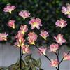 Garden Reflections set di due piantine artificiali luminose con fiori rosa