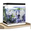 AquaOne Set Completo per Acquario, LED Con Pompa HNE-300, Piccolo Nano Acquario 13 Litri, Con Impianto di Filtro, Mini Bacino per Pesci e Gamberetti