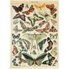 MyPuzzle.com MyPuzzle Papillons - Farfalle Per Tutti, Poster D'epoca, Adolphe Millot - Premium 500 Pezzi Puzzle - MyPuzzle Collezione speciale di Havana Puzzle Company