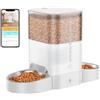 HoneyGuaridan 3.5L Distributore Automatico Cibo Gatti Doppio, 2.4G WiFi Dispenser Crocchette Gatto e Cani, 6 Pasti al Giorno, 2 Ciotole con Distribuzione in Porzioni Uguali, Controllo remoto dell'APP