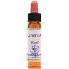NATUR Srl GENTIAN ESS 10ML INGL HERBS