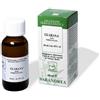 HOMEOSERVICE GUARANA 100ML TM