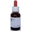 GLISY ITALIA Eli Kid Zinco 50g