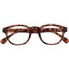 SANICO OCCHIALE EVEREST TURTLE +2,0