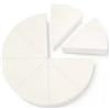WALA-D DR HAUSCHKA MAKE UP SPONGE 8PZ