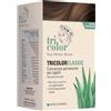 SPECCHIASOL Srl TRICOLOR Classic 6/3 Nocciola