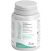 AURORA BIOFARMA Srl BENDIAR 10CPR