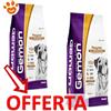 Monge Gemon All Breeds Dog Regular con Pollo e Riso - Offerta [PREZZO A CONFEZIONE] Quantità Minima 2, Sacco Da 20 Kg