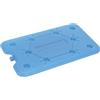 Koopman International Accumulatore di freddo, 25 x 14 x 1 cm, colore scelta casualmente