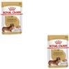 Royal Canin Dachshund Adult Mousse | Confezione Doppia | 2 x 12 x 85 g | Alimento completo per cani | Per bassotti adulti | Può aiutare a proteggere ossa e articolazioni