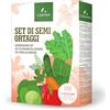LERAVA® Kit Semi Orto [12 VARIETÀ] - Bieta, Zucchino, Pomodoro, Valeriana, Carota, Lattuga, Ravanello, Cavolo, Spinacio, Cipolla, Cicoria, Peperone - Sementi per Orto, Semi da Piantare
