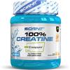 Scenit Redefining your Body Creatina Creapure - 100% Creatine Creapure - 500 g - Creatina Monoidrata creapure - Creatina monoidrato creapure - Creapure Creatine - Creatina Micronizzata - Creatina Creapure Polvere (500 g)