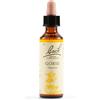 Schwabe Pharma Italia Gorse Essenze Fiori Di Bach Rimedio Fitoterapico Gocce 20ml