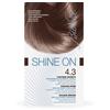 Bionike shine on capelli castano dorato 4.3