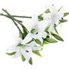 IMIKEYA 4 Pz Giglio Artificiale Giglio di Calla Finto Bianco Il Fiore Raccoglie i Rami Fiori Artificiali Calla Lilly Finto Mentre Fiori Tocco Giglio Pilastro Scrivania Bianca PVC