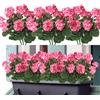 Weldomcor Fiori artificiali, 6 Bundles falso Geranio Fiori resistente ai raggi UV Faux Verde Arbusti Piante per Patio Portico Finestra Scatola di casa di nozze Agriturismo Decor, Rosa