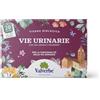 VALVERBE Tisana Vie Urinarie 20 Filtri - Pacco da 6-180 g