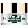 The Wonder Company LR Wonder Bee Snail Crema Viso Anti-age 50 ml