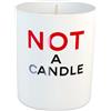 Juliette Has a Gun Parfums Not a Candle 180 gr