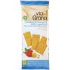 PROBIOS VARI La Via Del Grano Crackers Salati In Superficie 250 G