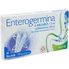 Enterogermina os sosp 10 flaconcini 2 mld 5 ml