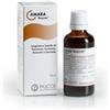 Amara 50 ml gocce pascoe