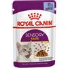 Royal Canin Sensory Taste Bocconcini in Salsa per Gatti Adulti da 85 gr