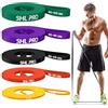 SHL PRO Elastici Fitness - Set da 5 Pezzi, Resistenza 5-125 lb per Trazioni alla Sbarra, Elastico Palestra per Stretching e Palestra in Casa - con Ancoraggio Porta, Maniglie, Elastici Palestra
