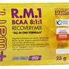 +Watt Recovery Mix R.M.1 BCAA 8:1:1Post Workout Arancia 25g