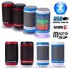 CASSA AUDIO SPEAKER CON RADIO FM PORTATILE SD USB BLUETOOTH MP3 LED WS-1806